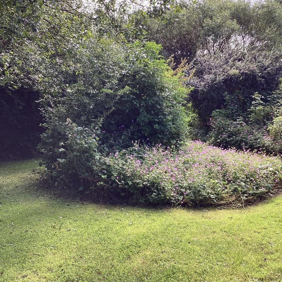 Asdee House Bed & Breakfast Bushmills Luaran gambar